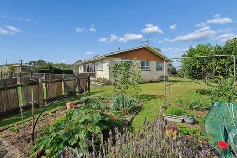 Photo of property in 58 Ohinewai Road South, Ohinewai, Huntly, 3771