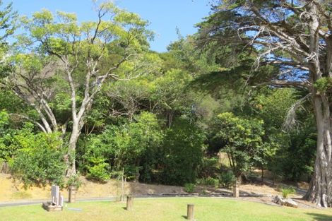Photo of property in 395a Driving Creek Road, Coromandel, 3506