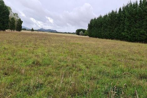Photo of property in 131 Arapaepae Road South, Levin, 5571