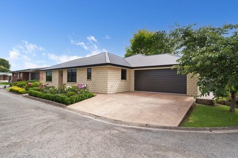 Photo of property in 49 Daniell Street, Solway, Masterton, 5810