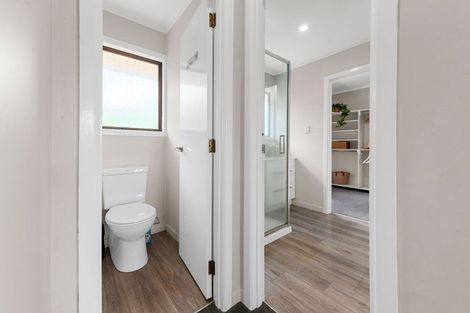 Photo of property in 45 Lake Domain Drive, Frankton, Hamilton, 3204