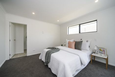 Photo of property in 27b Tyne Street, Roslyn, Palmerston North, 4414