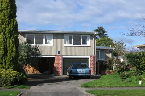 Photo of property in 19 Sheffield Street, Awapuni, Palmerston North, 4412
