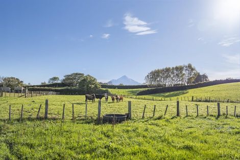 Photo of property in 241 Warwick Road, Stratford, 4391