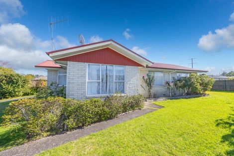 Photo of property in 16 Blundell Place, Huntly, 3700
