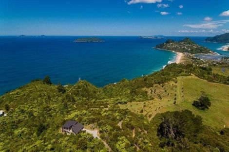 Photo of property in 170 Pumpkin Hill Road, Pumpkin Hill, Whitianga, 3591