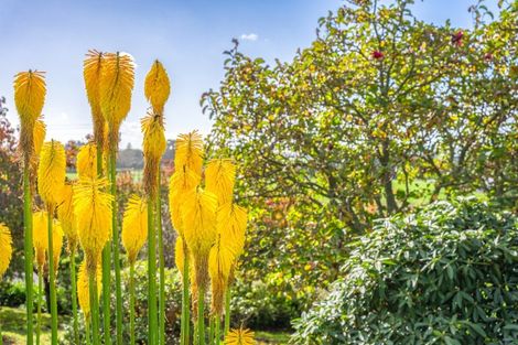 Photo of property in 26 Blackburne Road, Te Horo, Otaki, 5582
