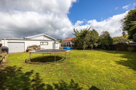 Photo of property in 10 Miranda Street, Stratford, 4332