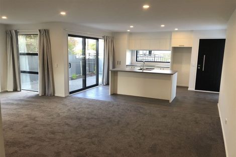 Photo of property in 49 Olliviers Road, Phillipstown, Christchurch, 8011