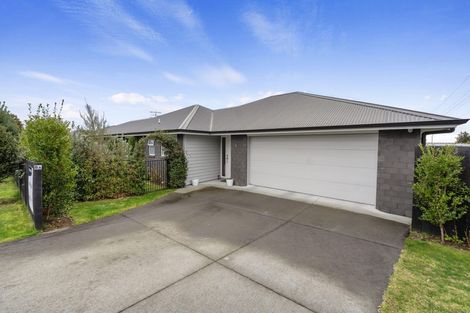 Photo of property in 8a No 2 Road, Te Puke, 3119