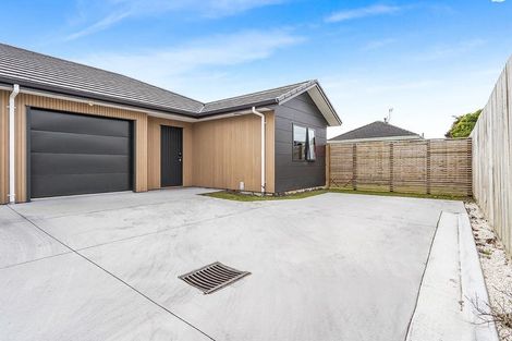 Photo of property in Gilligan Street, Palmerston, 9430