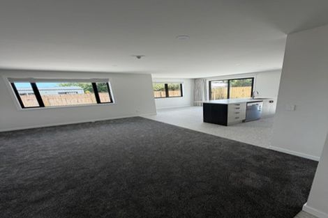 Photo of property in 14a Dudley Street, Levin, 5510