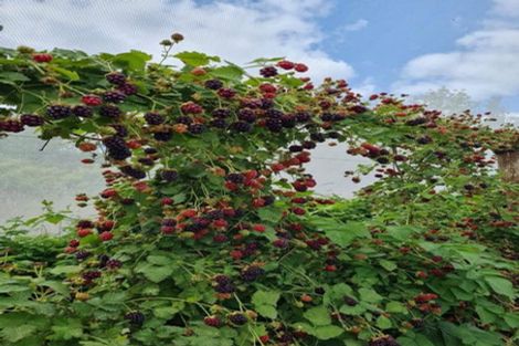 Photo of property in 1520 Tram Road, Swannanoa, Rangiora, 7475