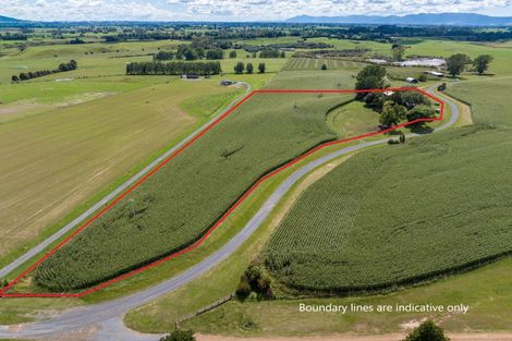 Photo of property in 246 Lake Road, Okoroire, Tirau, 3484