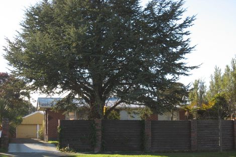 Photo of property in 318 Cranford Street, St Albans, Christchurch, 8052