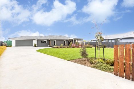 Photo of property in 24 Dee Street, Otane, 4202