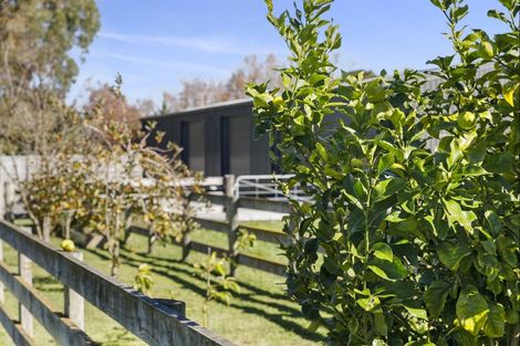 Photo of property in 10 Kuranui Road, Motumaoho, Morrinsville, 3372