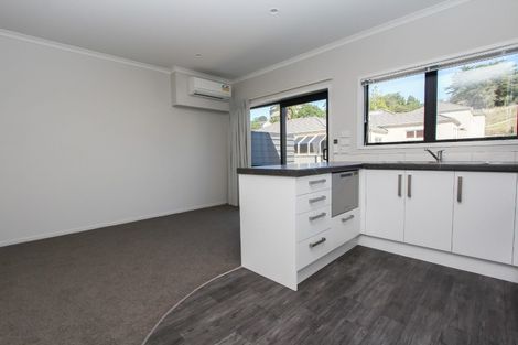 Photo of property in 18u4 Hunter Street, Hamilton Lake, Hamilton, 3204