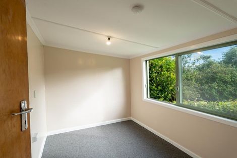 Photo of property in 38 Newport Street, Milton, 9220