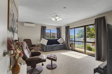 Photo of property in 432a Kahikatea Drive, Dinsdale, Hamilton, 3204