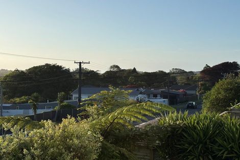 Photo of property in 293 Tukapa Street, Hurdon, New Plymouth, 4310
