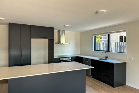 Photo of property in 198 Chester Street East, Christchurch Central, Christchurch, 8011