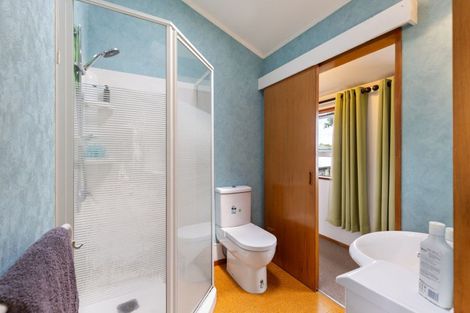 Photo of property in 6 Belgrave Place, Awapuni, Palmerston North, 4412