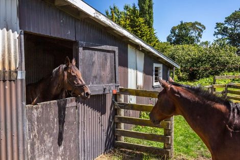 Photo of property in 258 Norfolk Road, Waingawa, Carterton, 5791