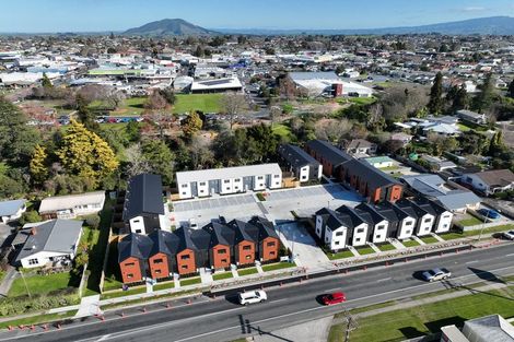 Photo of property in 161 Ohaupo Road, Te Awamutu, 3800