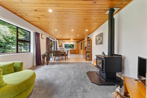 Photo of property in 20 Arapuni Road, Arapuni, Putaruru, 3415