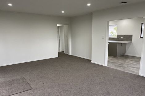 Photo of property in 49a Te Aute Road, Havelock North, 4130