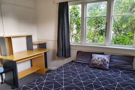 Photo of property in 60 Roxburgh Street, Mount Victoria, Wellington, 6011
