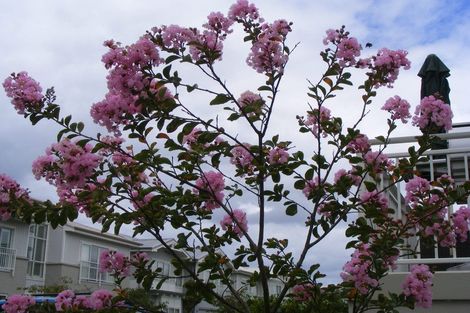 Photo of property in 31 Kensington Drive, Orewa, 0931