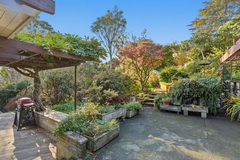 Photo of property in 47 Every Street, Andersons Bay, Dunedin, 9013