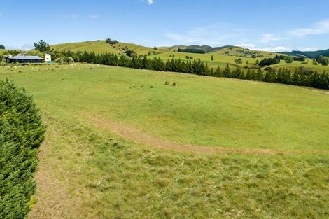 Photo of property in 287a Millars Road, Longbush, 5792