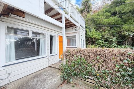 Photo of property in 59 Hankey Street, Mount Cook, Wellington, 6011