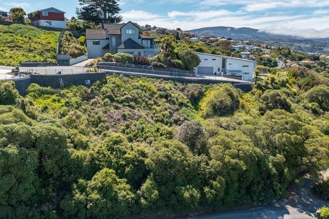Photo of property in 2l Clayton Street, Saint Clair, Dunedin, 9012