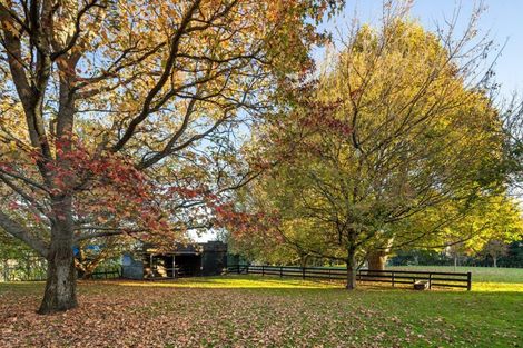 Photo of property in 1786 Cambridge Road, Cambridge, Hamilton, 3283