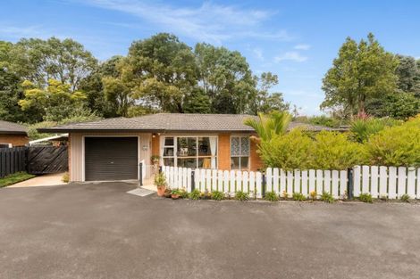 Photo of property in 279a Maungatapu Road, Maungatapu, Tauranga, 3112