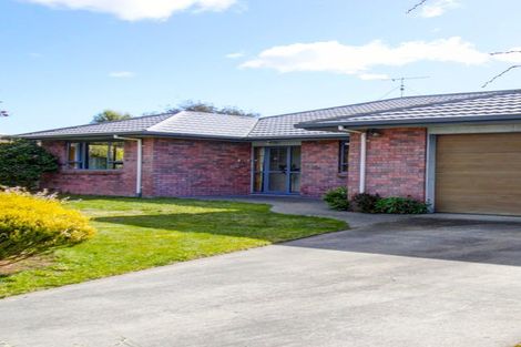Photo of property in 19 Page Street, Redwoodtown, Blenheim, 7201