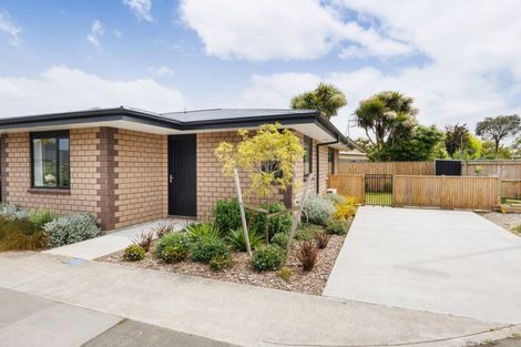 Photo of property in 17 Mccrae Place, Ashhurst, 4810