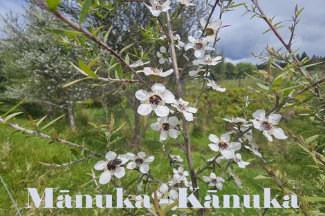 Photo of property in 1296 Wekaweka Road, Waimamaku, Kaikohe, 0473