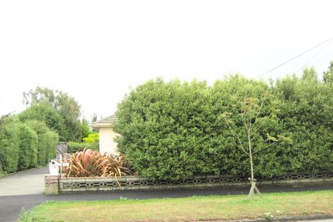 Photo of property in 49 Mcbratneys Road, Dallington, Christchurch, 8061