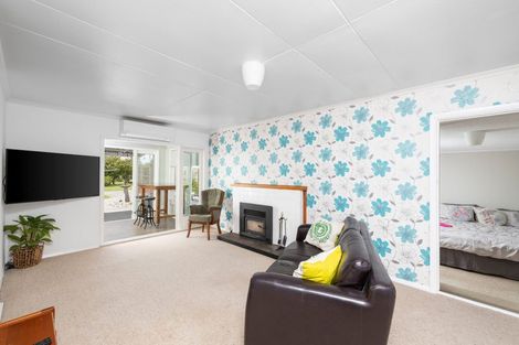 Photo of property in 45a Ferry Road, Martinborough, 5711