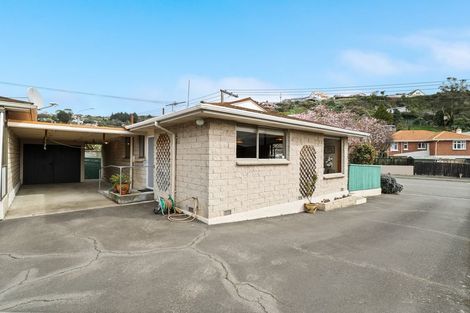 Photo of property in 235c Bay View Road, Saint Clair, Dunedin, 9012