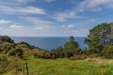 Photo of property in 554 Boat Harbour Road, Whenuakite, Whitianga, 3591
