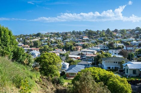 Photo of property in 16 Aitken Place, Mornington, Dunedin, 9011