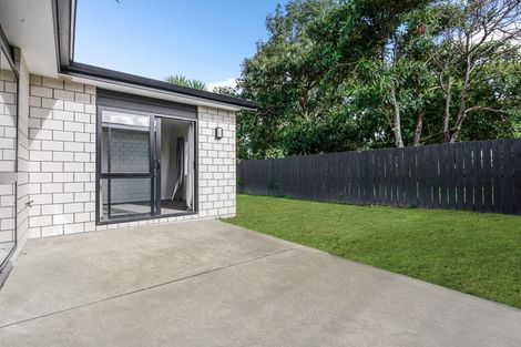 Photo of property in 17u1 Walter Street, Fairfield, Hamilton, 3214