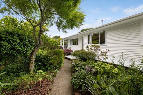 Photo of property in 82 Brecon Road, Stratford, 4332