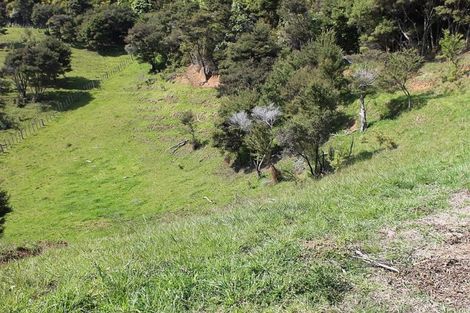 Photo of property in 60 Summer Road, Tinopai, Matakohe, 0593